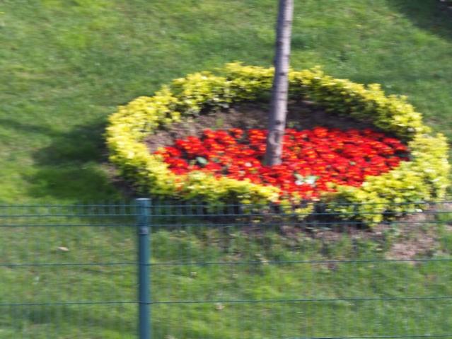 Name:  DSCF3136.jpg
Views: 325
Size:  50.7 KB