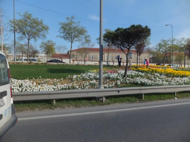 Name:  DSCF3138.jpg
Views: 325
Size:  47.4 KB