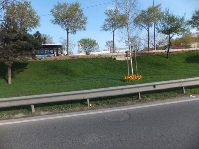 Name:  DSCF3140.jpg
Views: 335
Size:  48.8 KB