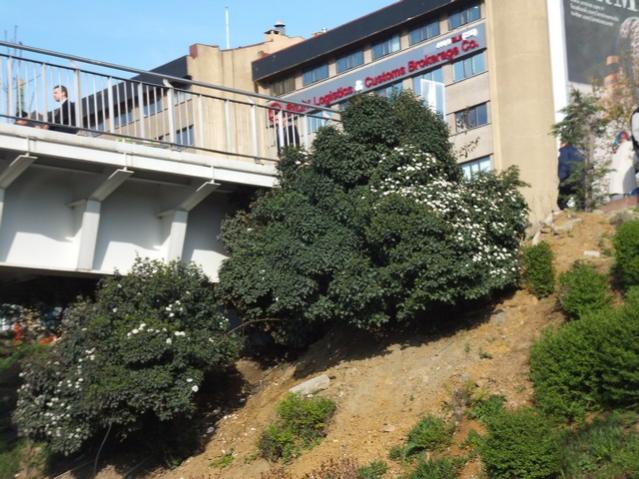 Name:  DSCF3142.jpg
Views: 309
Size:  62.2 KB