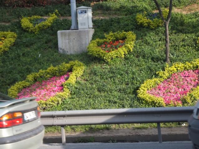 Name:  DSCF3149.jpg
Views: 312
Size:  66.8 KB