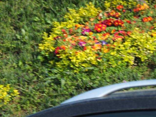 Name:  DSCF3155.jpg
Views: 325
Size:  59.4 KB