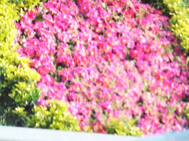 Name:  DSCF3157.jpg
Views: 333
Size:  56.2 KB