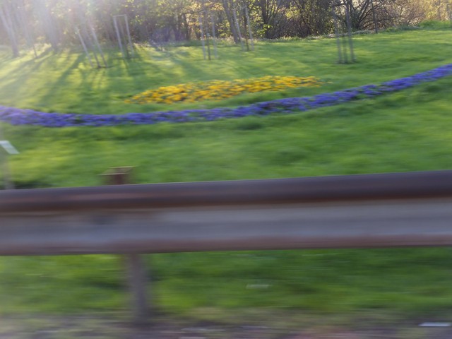 Name:  DSCF3174.jpg
Views: 315
Size:  65.9 KB
