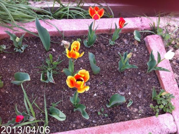 Name:  IMG_5083.jpg
Views: 582
Size:  71.5 KB