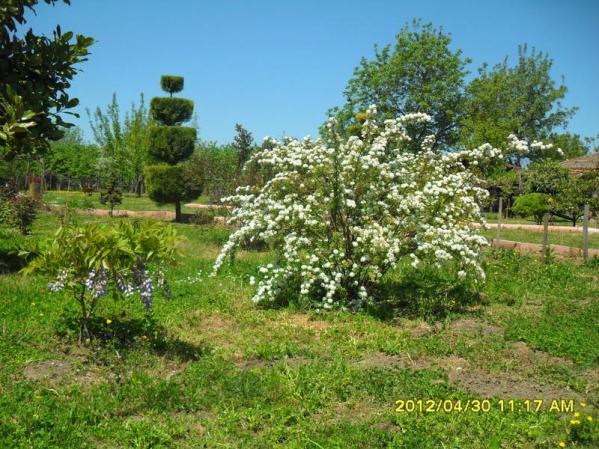 Name:  033.jpg
Views: 1092
Size:  71.7 KB