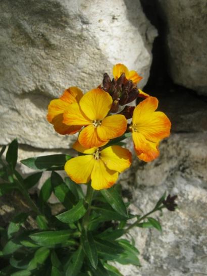 Name:  024.jpg
Views: 898
Size:  34.8 KB