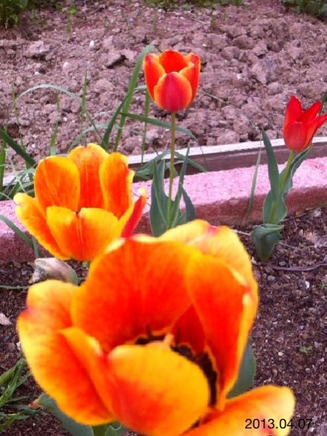 Name:  IMG_5090.jpg
Views: 554
Size:  61.3 KB
