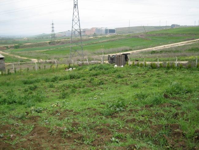 Name:  8 nisan 042.jpg
Views: 1295
Size:  62.6 KB