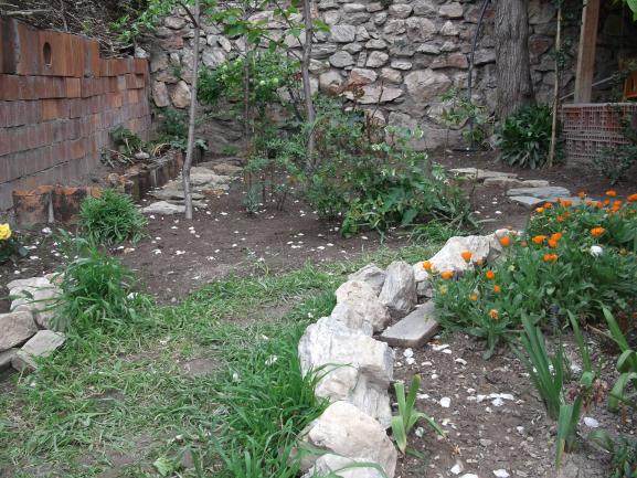 Name:  DSCF2488--.jpg
Views: 517
Size:  71.4 KB