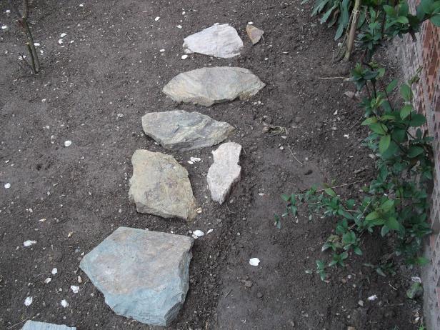 Name:  DSCF2492--.jpg
Views: 483
Size:  69.6 KB