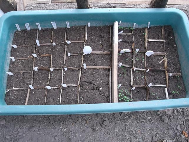 Name:  DSCF2509--.jpg
Views: 487
Size:  70.5 KB