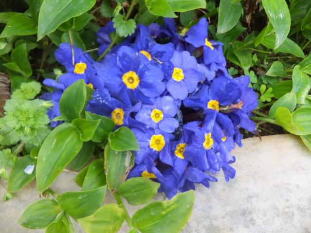 Name:  DSCF1871.jpg
Views: 357
Size:  51.8 KB