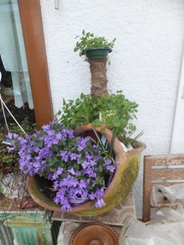 Name:  DSCF1940.jpg
Views: 306
Size:  30.7 KB