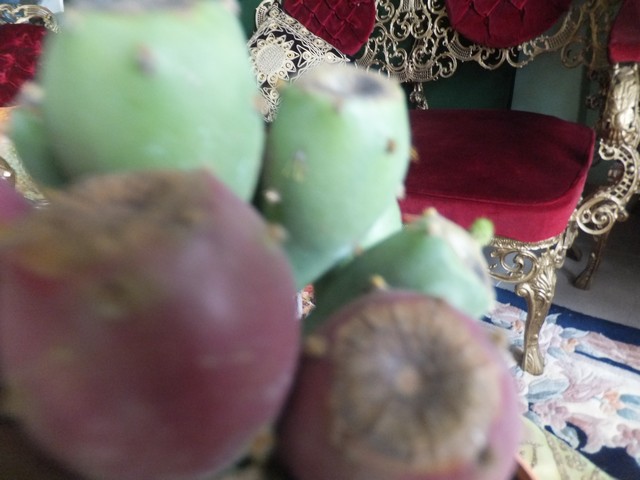 Name:  DSCF1943.jpg
Views: 363
Size:  67.5 KB