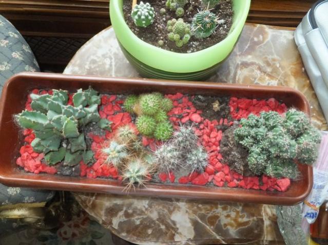 Name:  DSCF1947.jpg
Views: 358
Size:  58.5 KB