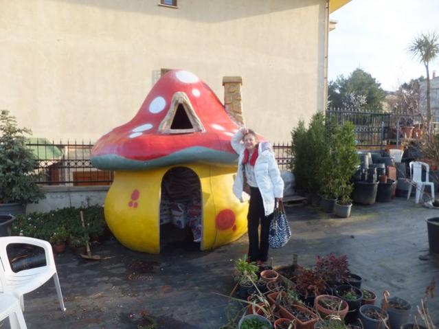 Name:  DSCF2085.jpg
Views: 300
Size:  42.8 KB
