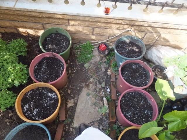 Name:  DSCF2106.jpg
Views: 328
Size:  61.1 KB
