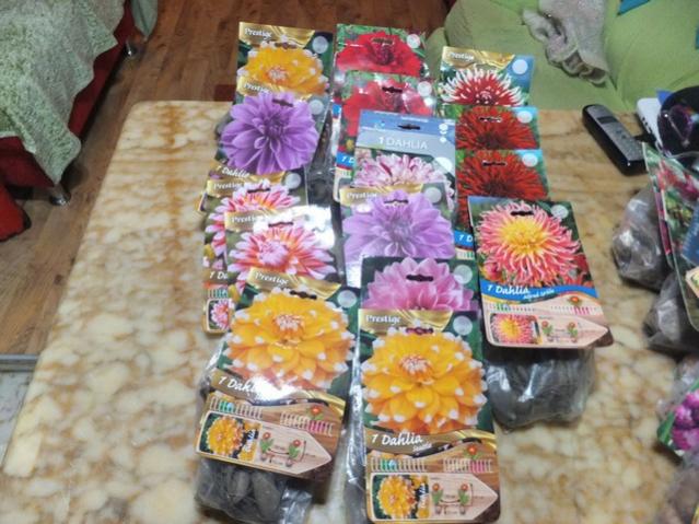 Name:  DSCF2130.jpg
Views: 300
Size:  57.7 KB