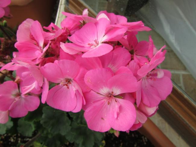 Name:  IMG_1544.jpg
Views: 428
Size:  36.7 KB
