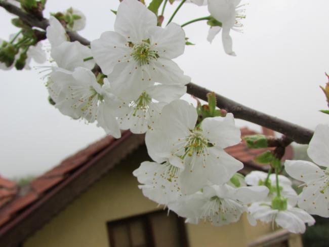 Name:  IMG_1434.jpg
Views: 419
Size:  29.9 KB