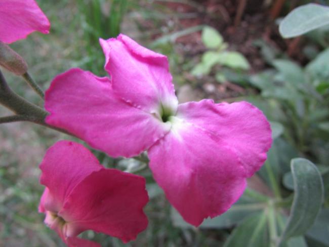 Name:  IMG_1387.jpg
Views: 411
Size:  32.1 KB