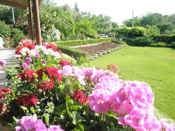 Name:  yeni resimler 045.jpg
Views: 1871
Size:  68.5 KB