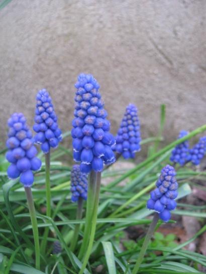 Name:  zm smblleri.jpg
Views: 1204
Size:  31.3 KB
