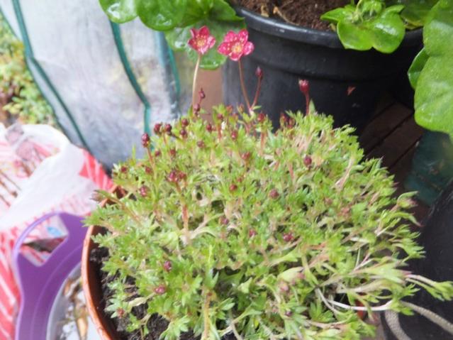 Name:  DSCF2183.jpg
Views: 358
Size:  54.3 KB