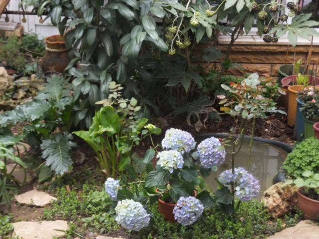 Name:  DSCF2236.jpg
Views: 319
Size:  68.2 KB