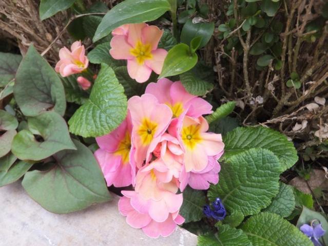 Name:  DSCF2257.jpg
Views: 324
Size:  52.4 KB