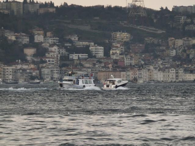 Name:  DSCF2265.jpg
Views: 321
Size:  49.7 KB
