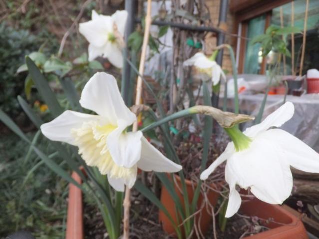 Name:  DSCF2267.jpg
Views: 325
Size:  39.9 KB