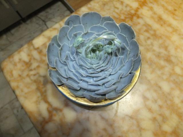 Name:  DSCF2532.jpg
Views: 316
Size:  36.6 KB