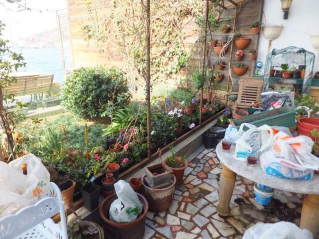 Name:  DSCF2641.jpg
Views: 506
Size:  67.3 KB