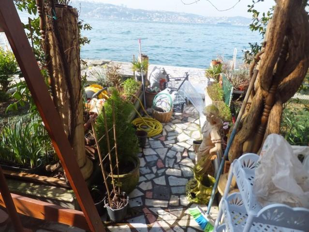 Name:  DSCF2642.jpg
Views: 509
Size:  64.4 KB