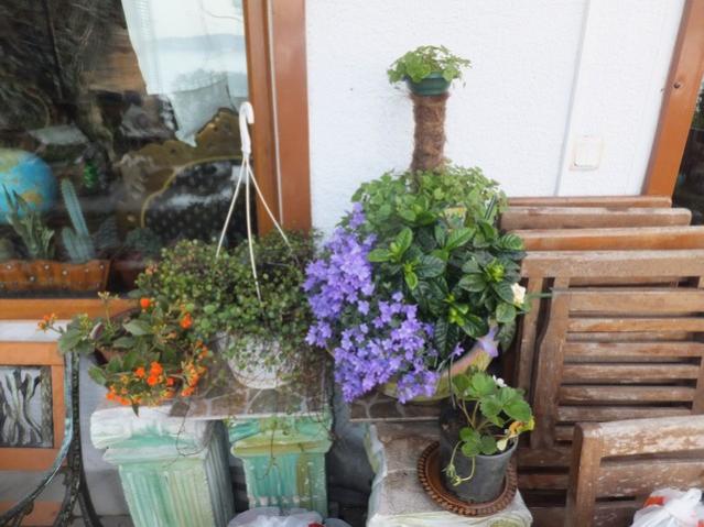 Name:  DSCF2694.jpg
Views: 474
Size:  50.8 KB