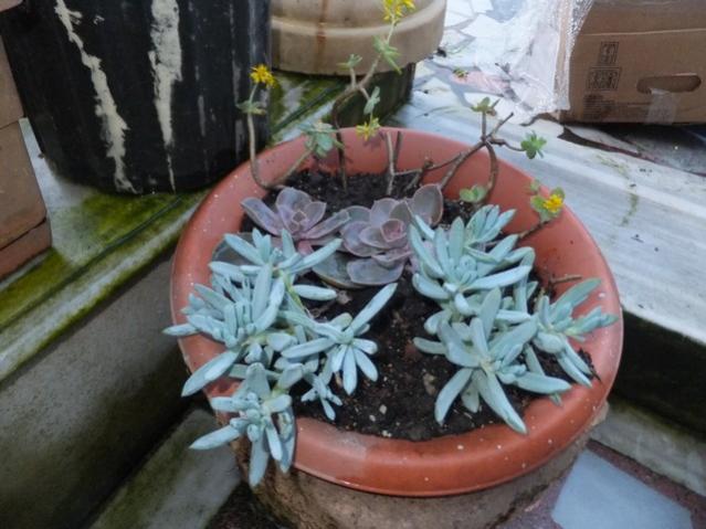 Name:  DSCF2719.jpg
Views: 680
Size:  47.1 KB