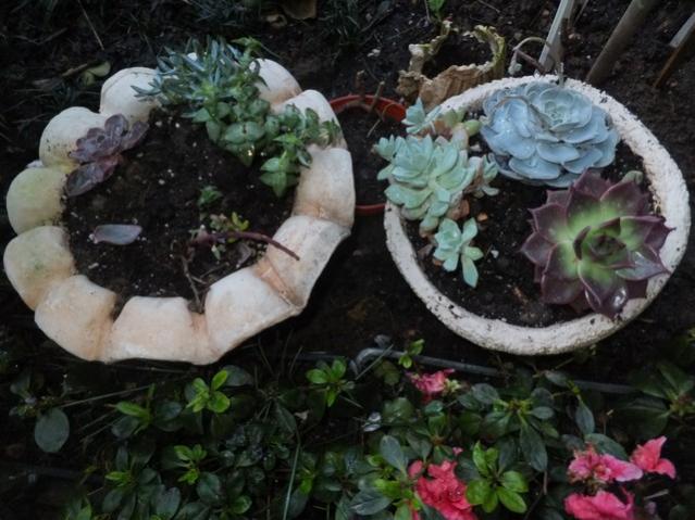 Name:  DSCF2725.jpg
Views: 461
Size:  52.5 KB