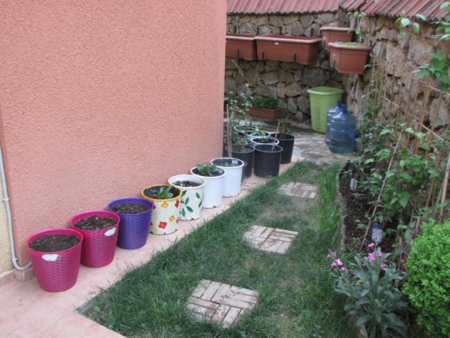 Name:  IMG_1985.jpg
Views: 548
Size:  58.0 KB