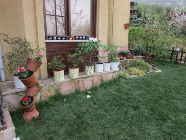 Name:  IMG_2058.jpg
Views: 530
Size:  60.5 KB