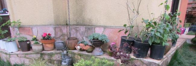 Name:  IMG_2053.jpg
Views: 539
Size:  27.6 KB