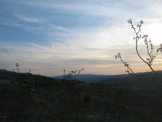 Name:  akam zeri.jpg
Views: 1636
Size:  66.4 KB