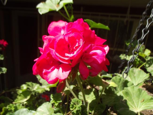 Name:  DSCF2285.jpg
Views: 722
Size:  41.9 KB