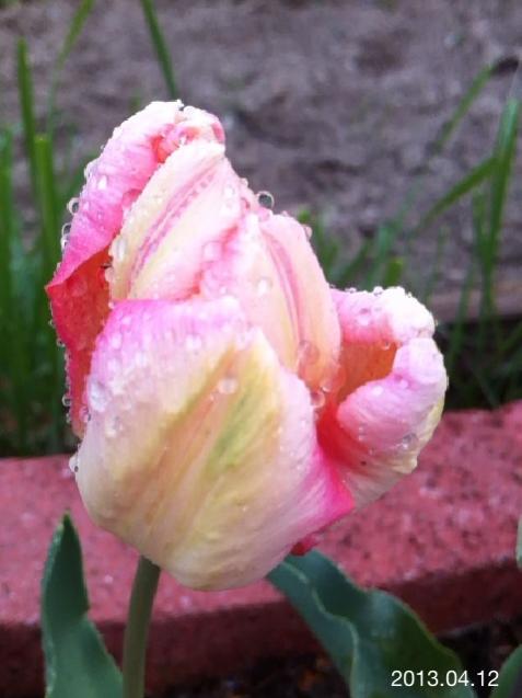 Name:  IMG_5192.jpg
Views: 443
Size:  33.7 KB