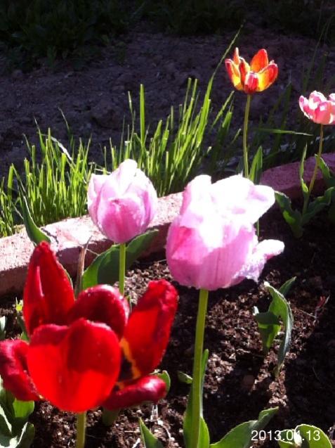 Name:  IMG_5193.jpg
Views: 449
Size:  55.8 KB