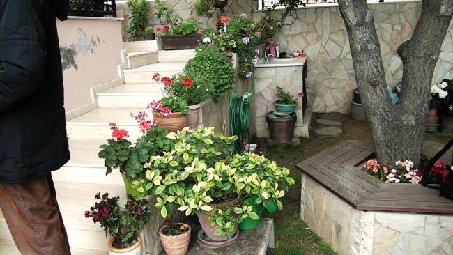 Name:  00172.MTS_000049582.jpg
Views: 561
Size:  56.8 KB