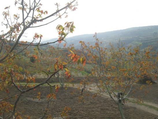 Name:  bahe.jpg
Views: 1249
Size:  39.7 KB
