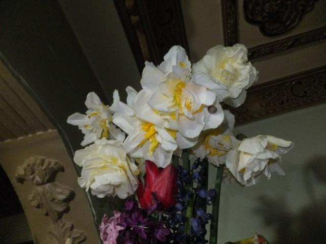 Name:  DSCF3190.jpg
Views: 287
Size:  31.7 KB