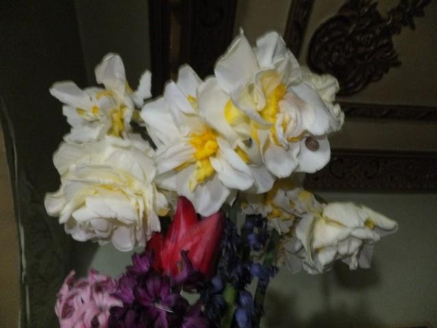 Name:  DSCF3192.jpg
Views: 313
Size:  31.4 KB